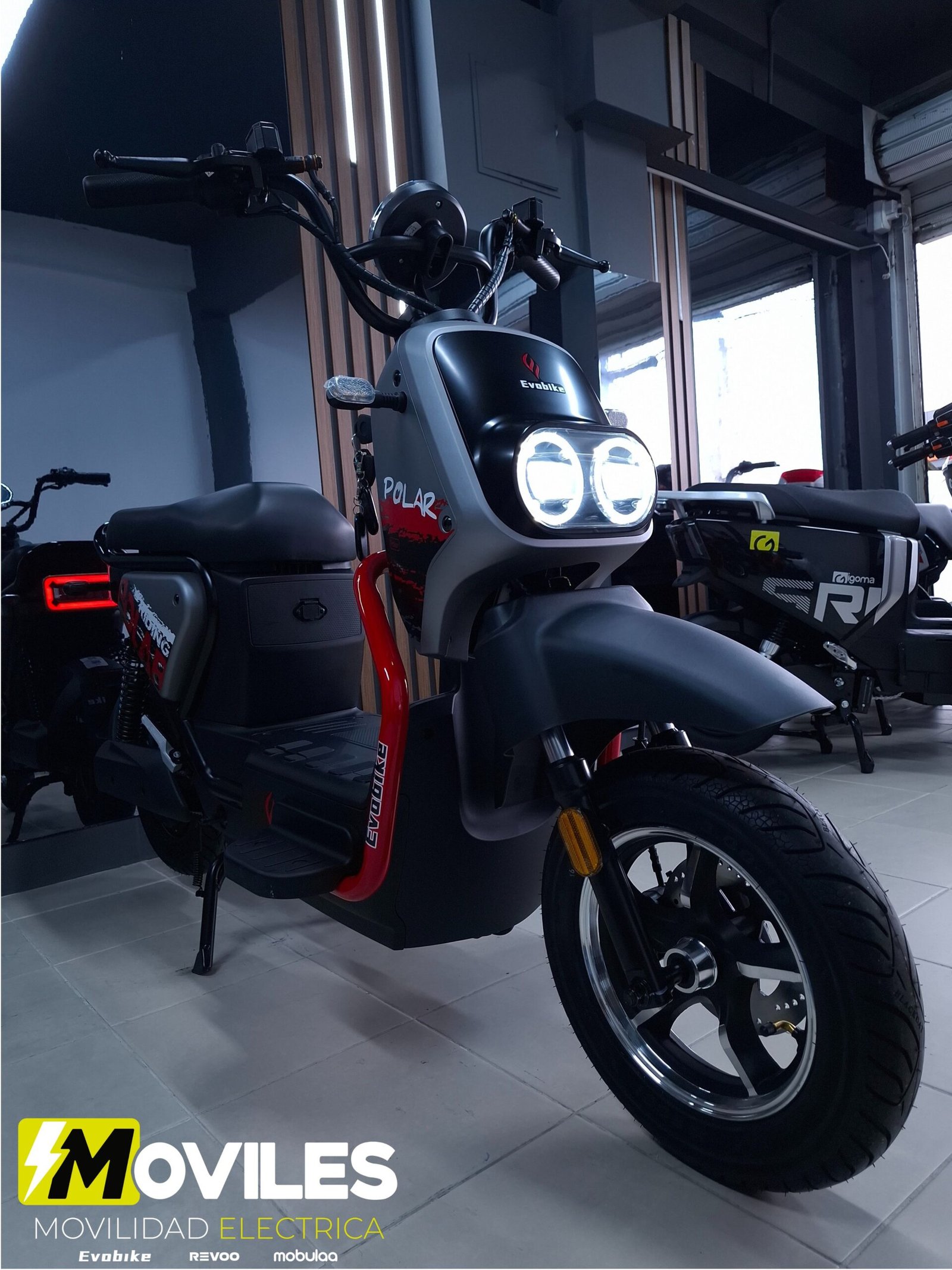 ❄️🚀 Evobike Polar – Bicimoto Eléctrica 60 km/h | Autonomía 55 km | Potencia y Estilo –